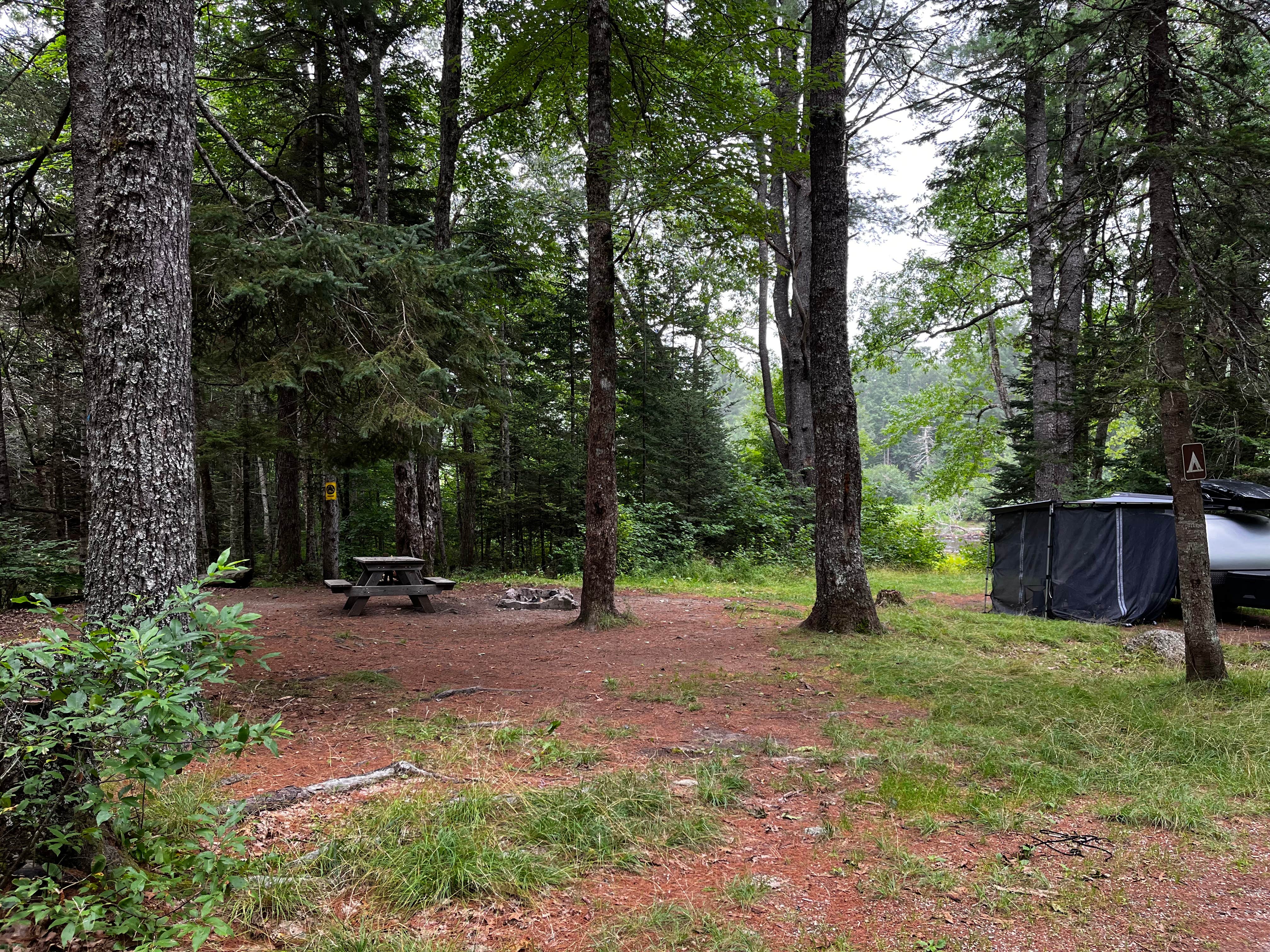 Gary's photo at Machias Rips Campsite near Eastport, ME
