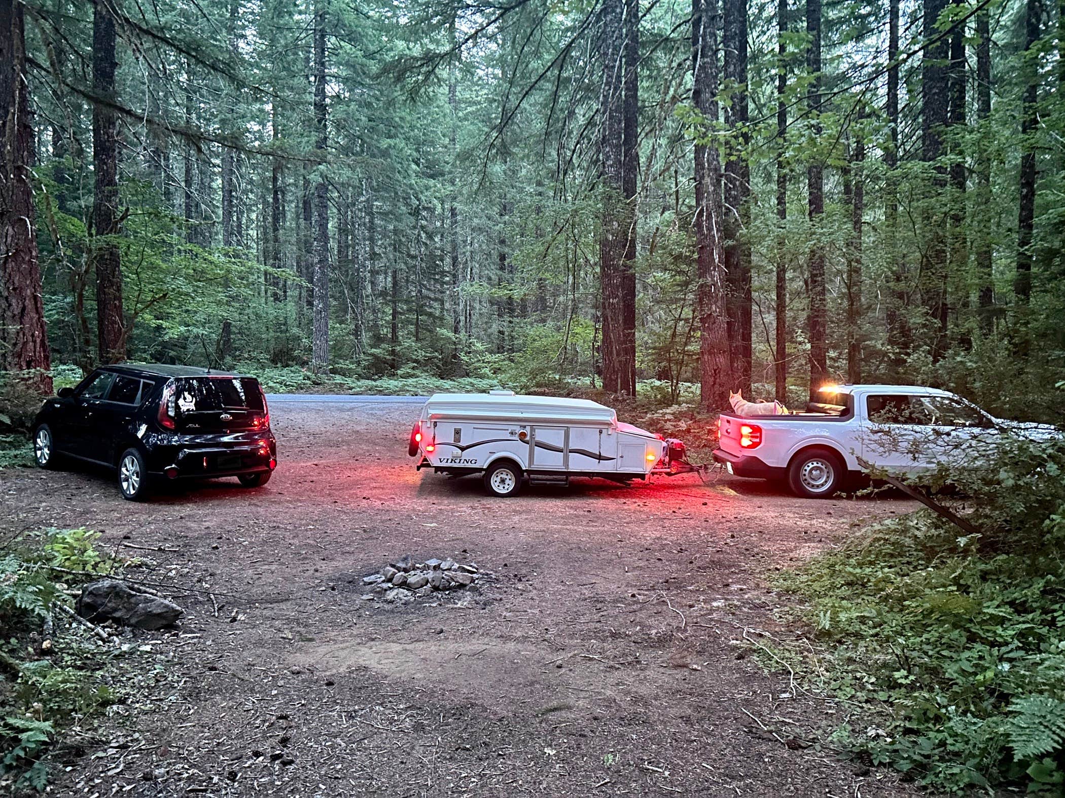 Lindsey N.'s photo of camping with pets at FR-604 Dispersed Site in Washington