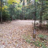 Review photo of Jigger Johnson Campground by Jean C., October 28, 2018