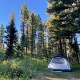 Review photo of Targhee Creek by Amber R., August 17, 2023
