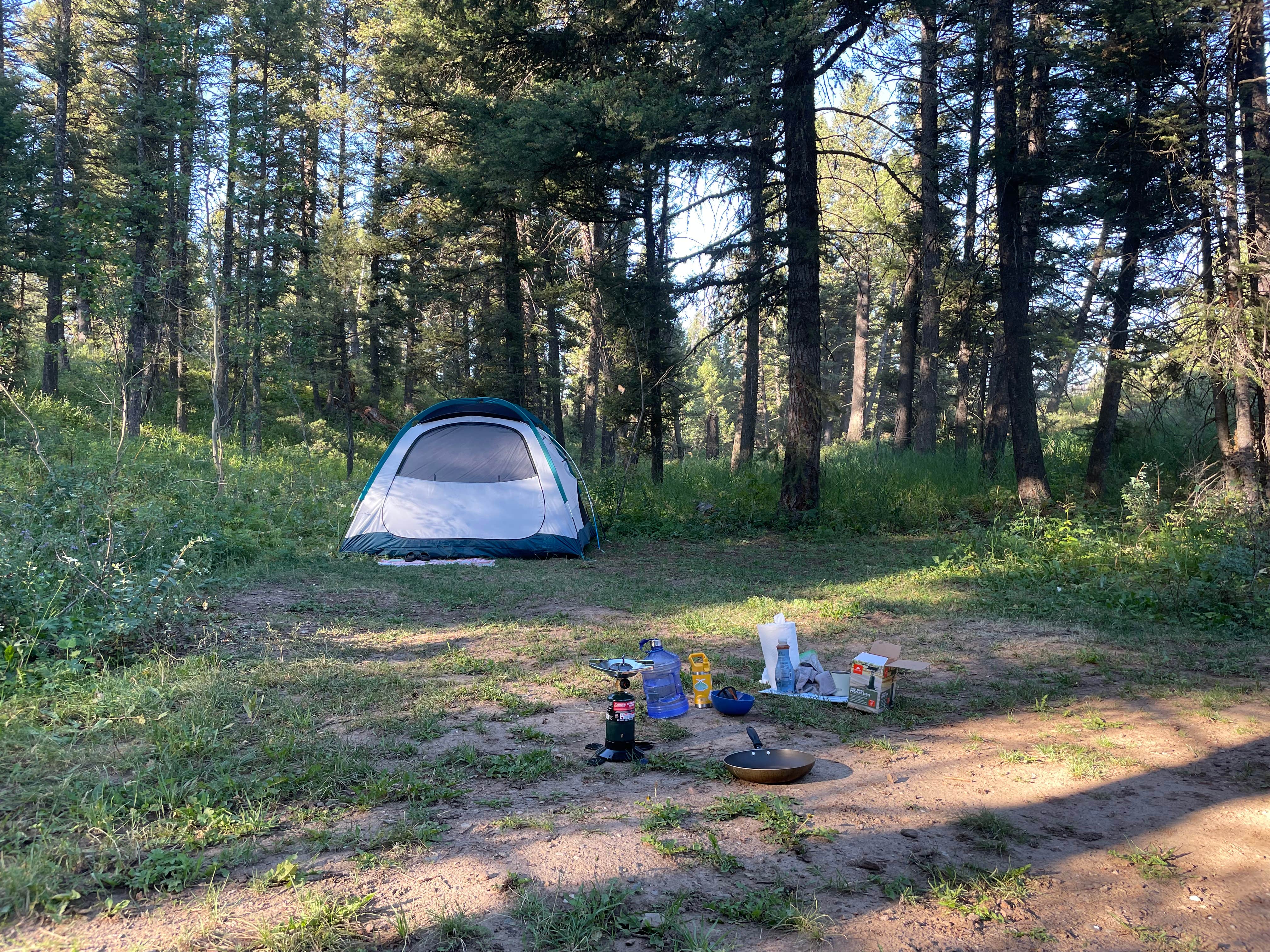 Targhee Creek Camping Island Park ID