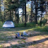 Review photo of Targhee Creek by Amber R., August 17, 2023