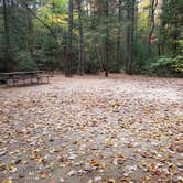 Review photo of Jigger Johnson Campground by Jean C., October 28, 2018