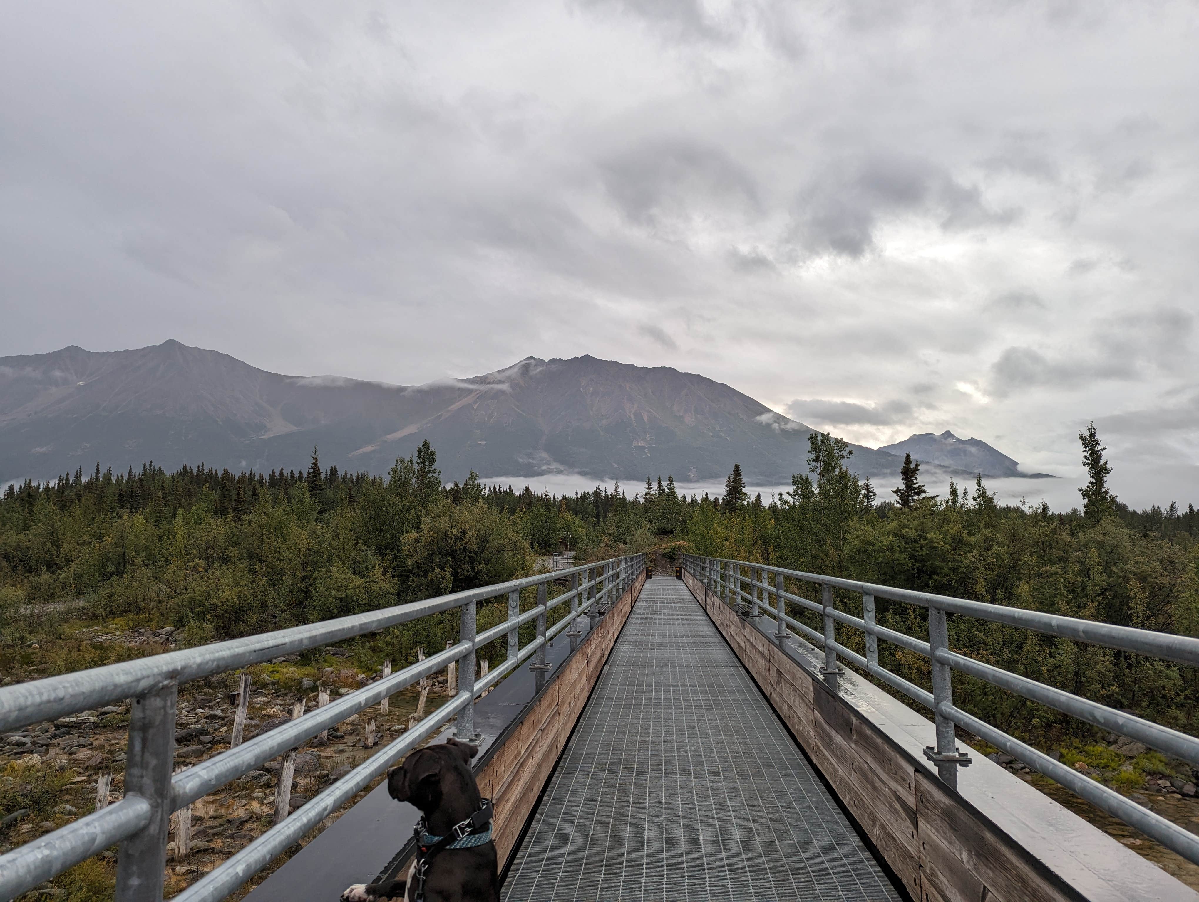 Kristi D.'s photo of camping with pets at McCarthy Road Camp near Chitina, AK