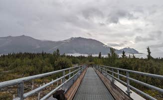 Kristi D.'s photo of camping with pets at McCarthy Road Camp near Copper Center, AK