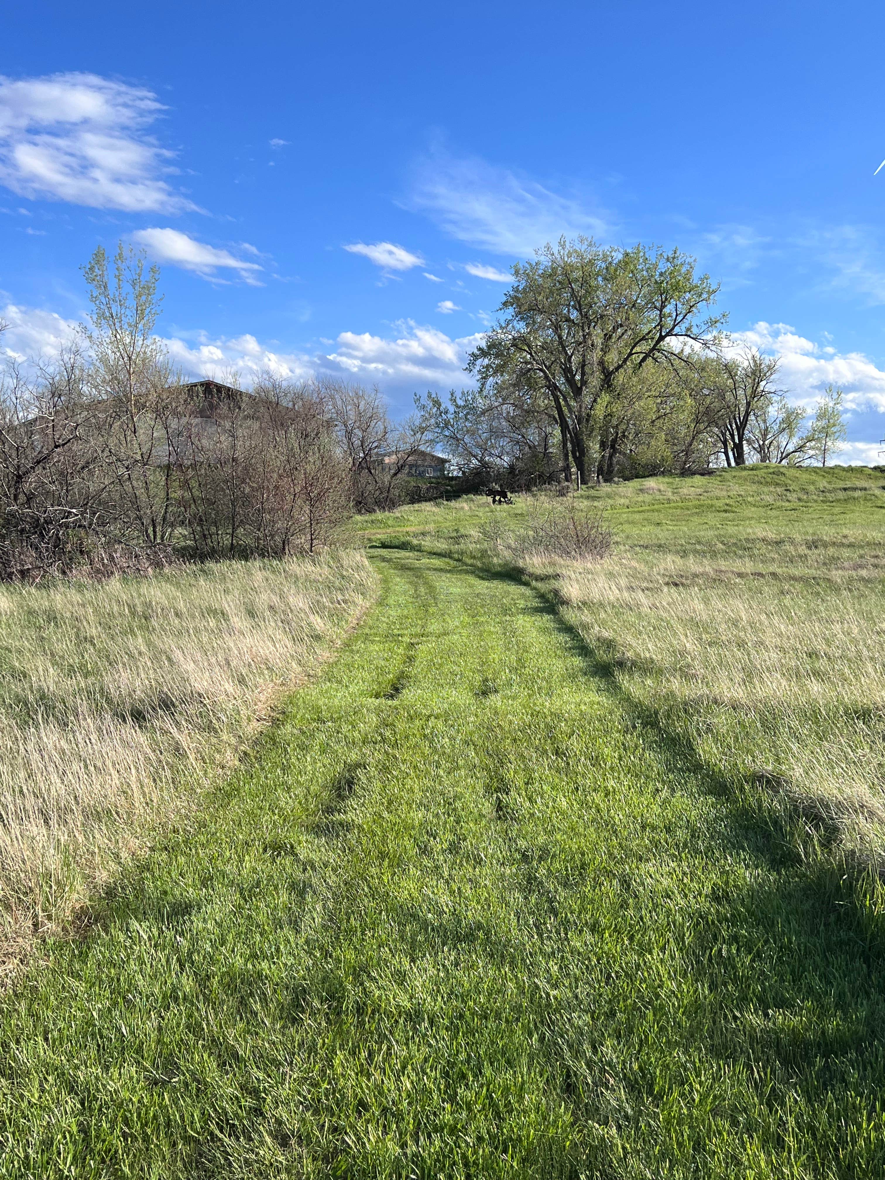 Camper-submitted photo at Creekside Camp at Prairie Skies near Billings, MT