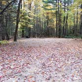 Review photo of Jigger Johnson Campground by Jean C., October 28, 2018