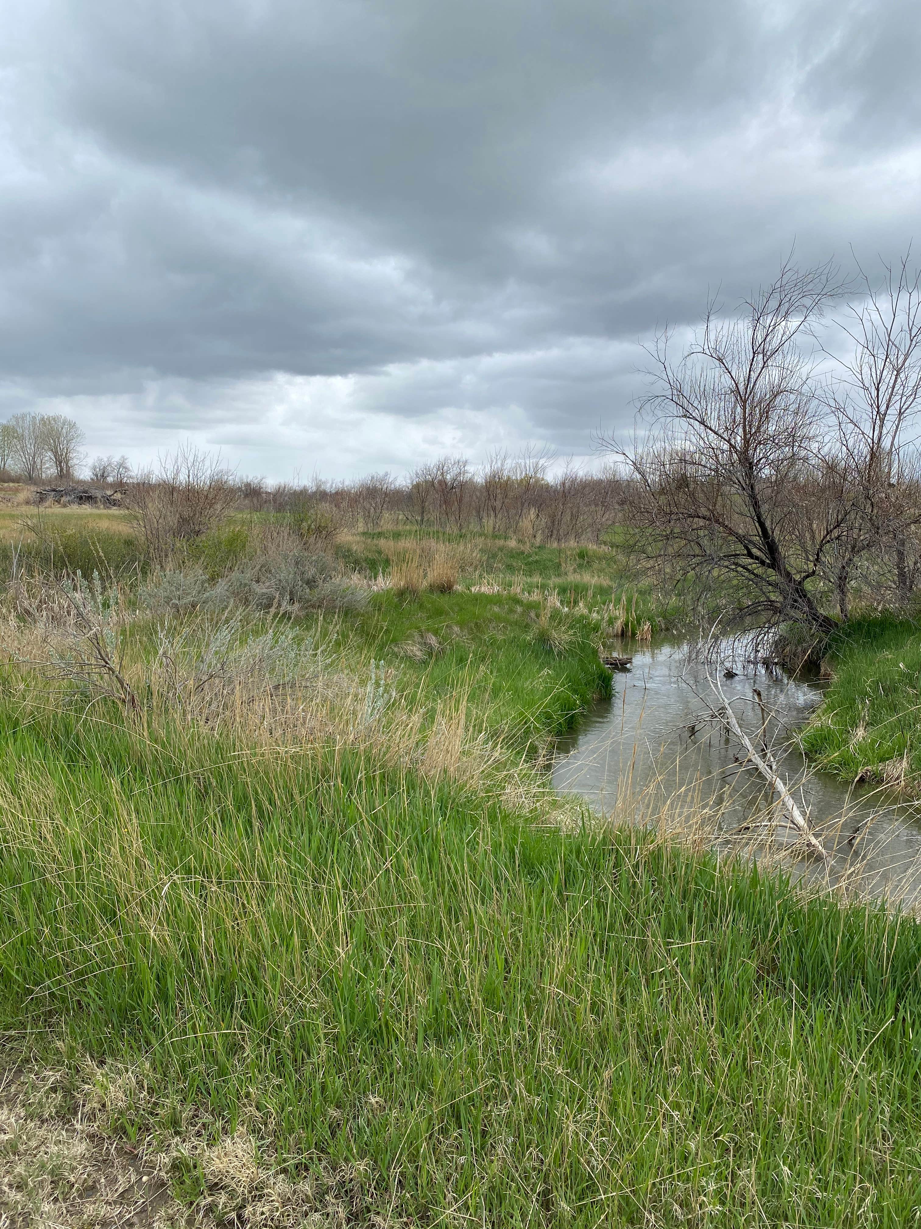 Camper-submitted photo at Creekside Camp at Prairie Skies near Billings, MT