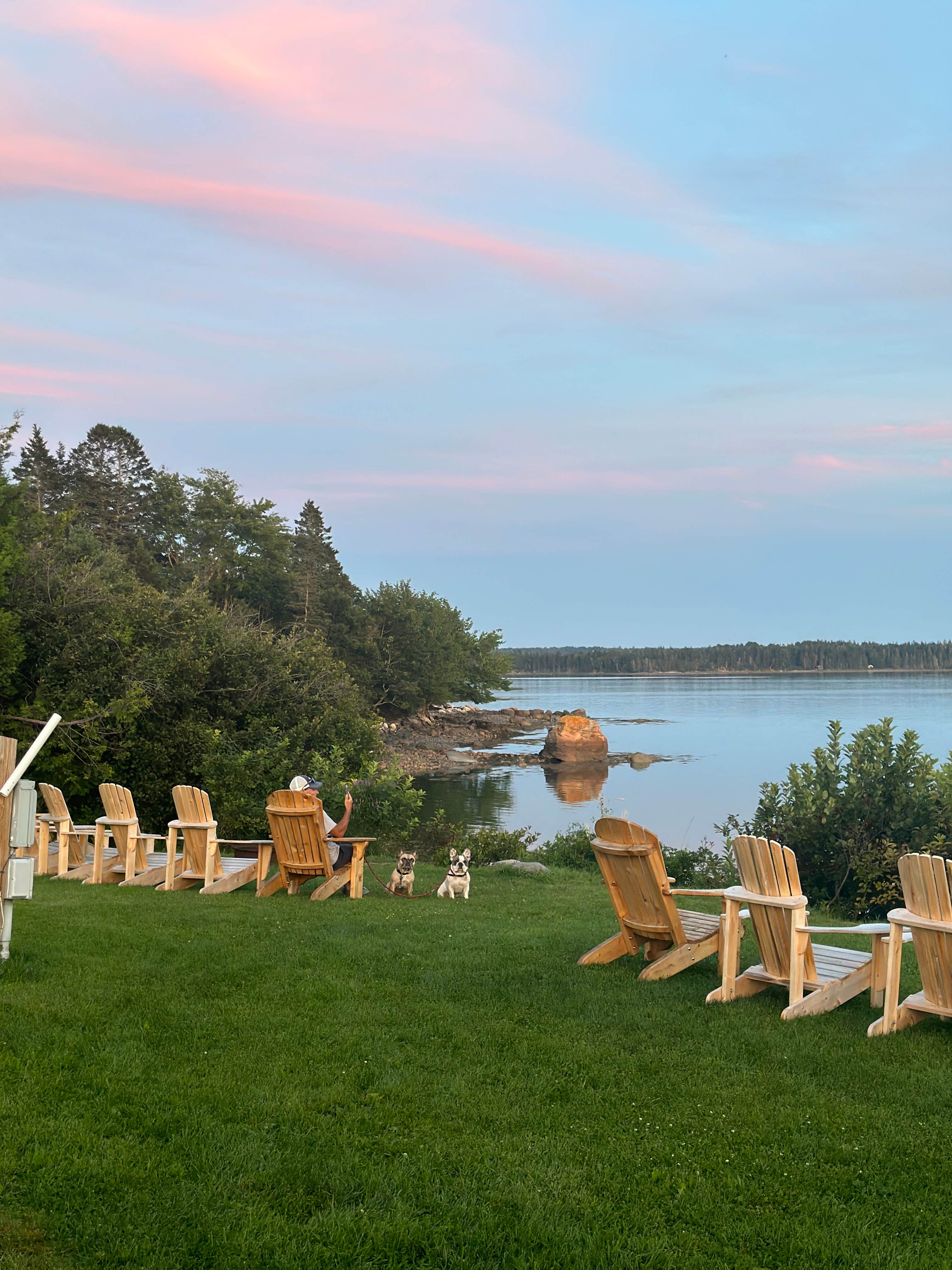 Sarah A.'s photo of camping with pets at Acadia Seashore Camping and Cabins near Ellsworth, ME
