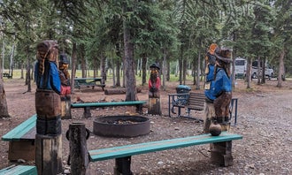 Camping near Eagle Trail State Rec Area: Sourdough Campground & Cafe, Tanacross, Alaska