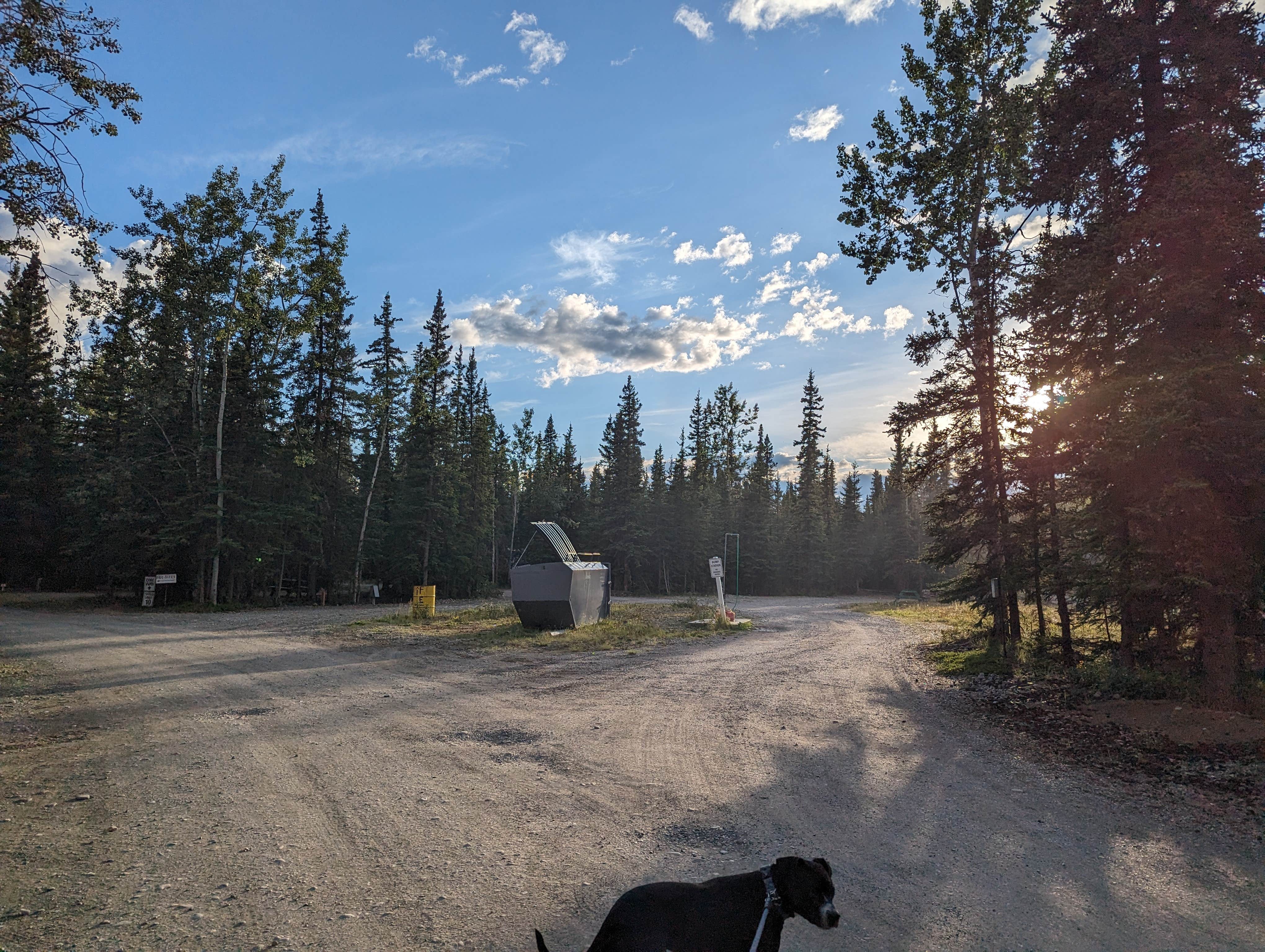 Kristi D.'s photo of camping with pets at Sourdough Campground & Cafe near Tanacross, AK