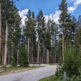Review photo of Beaverhead National Forest Price Creek Campground by Kristi D., July 29, 2023