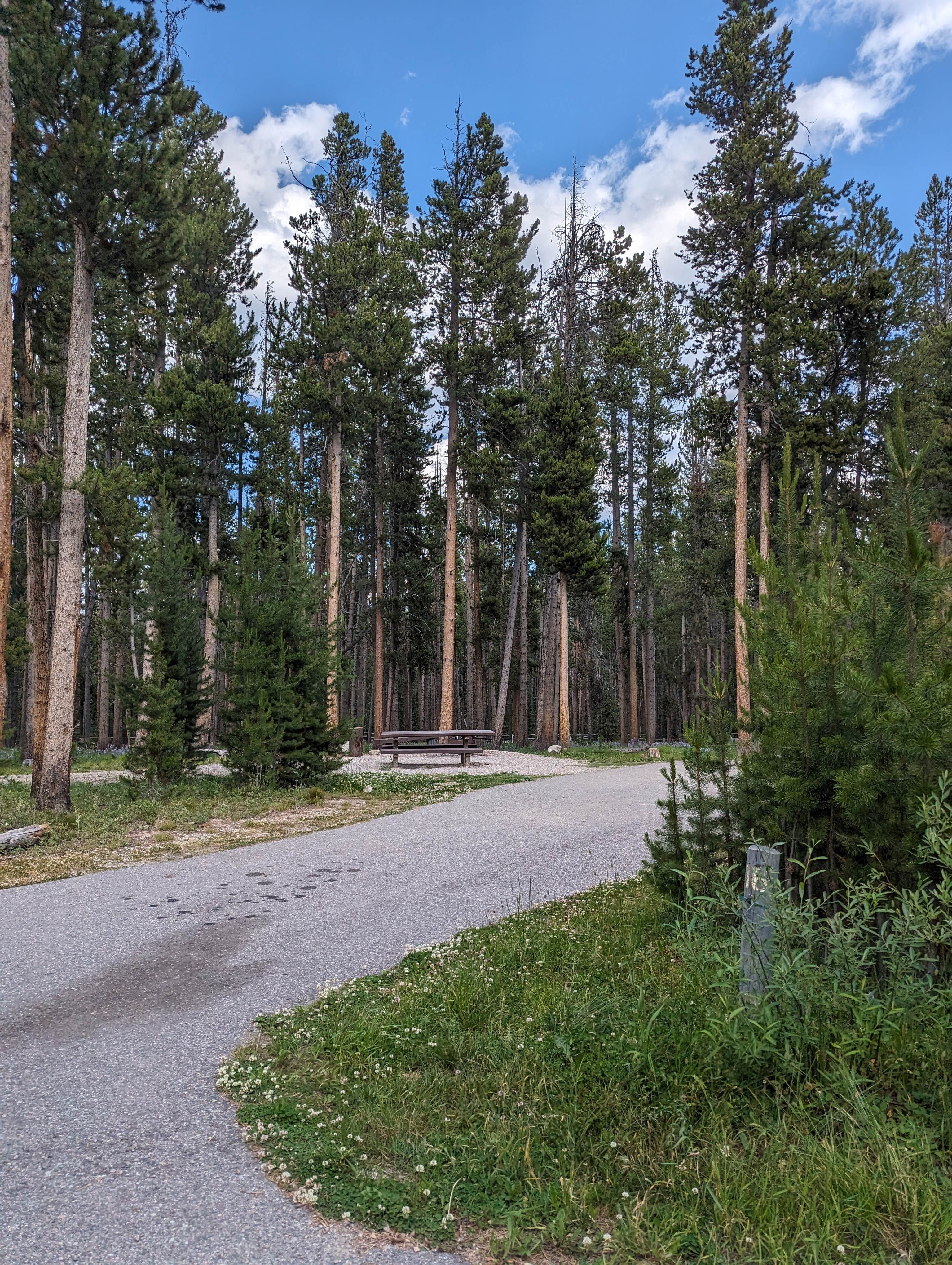 Camper submitted image from Beaverhead National Forest Price Creek Campground - 5