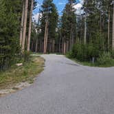 Review photo of Beaverhead National Forest Price Creek Campground by Kristi D., July 29, 2023