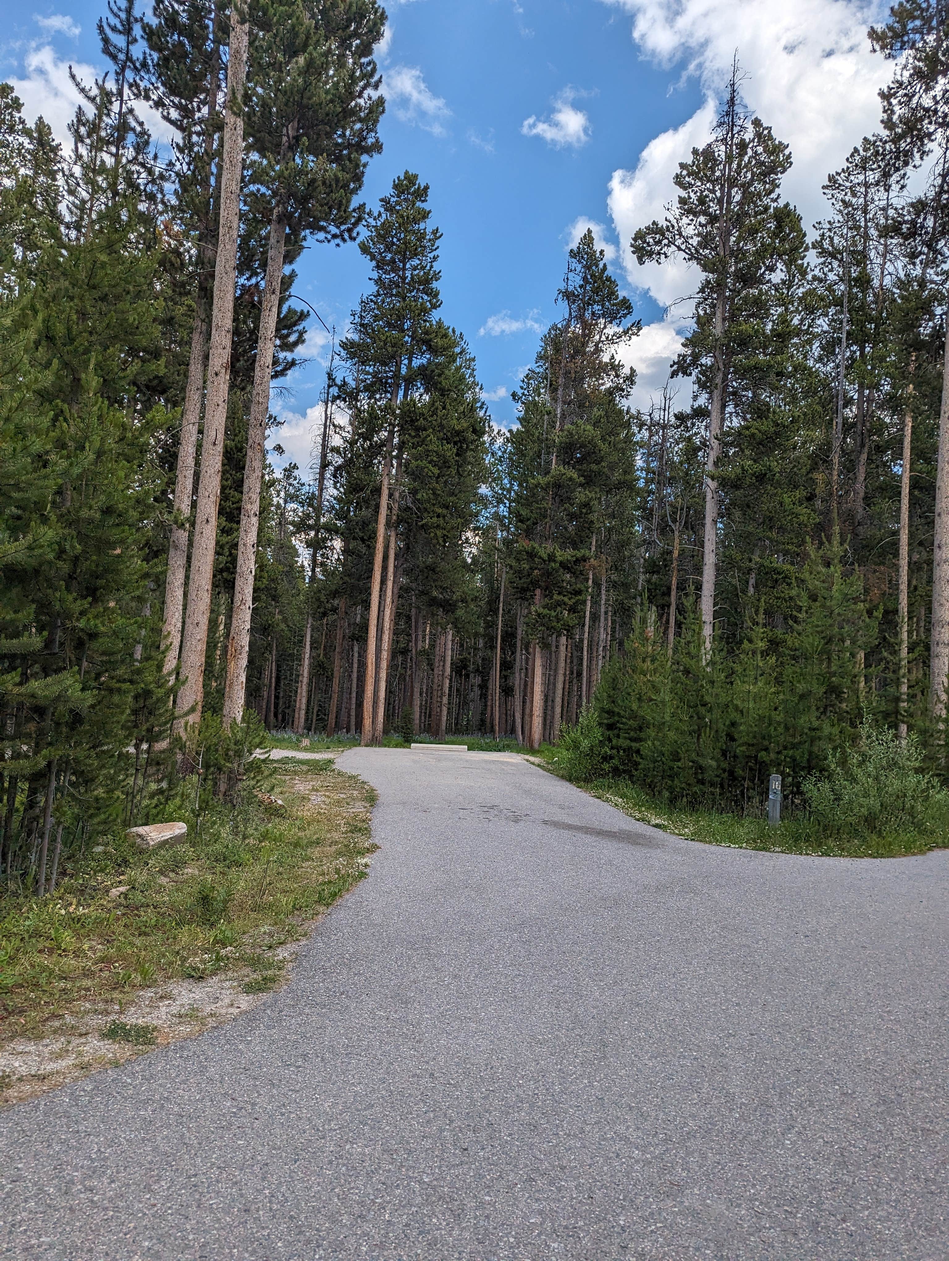 Camper submitted image from Beaverhead National Forest Price Creek Campground - 3