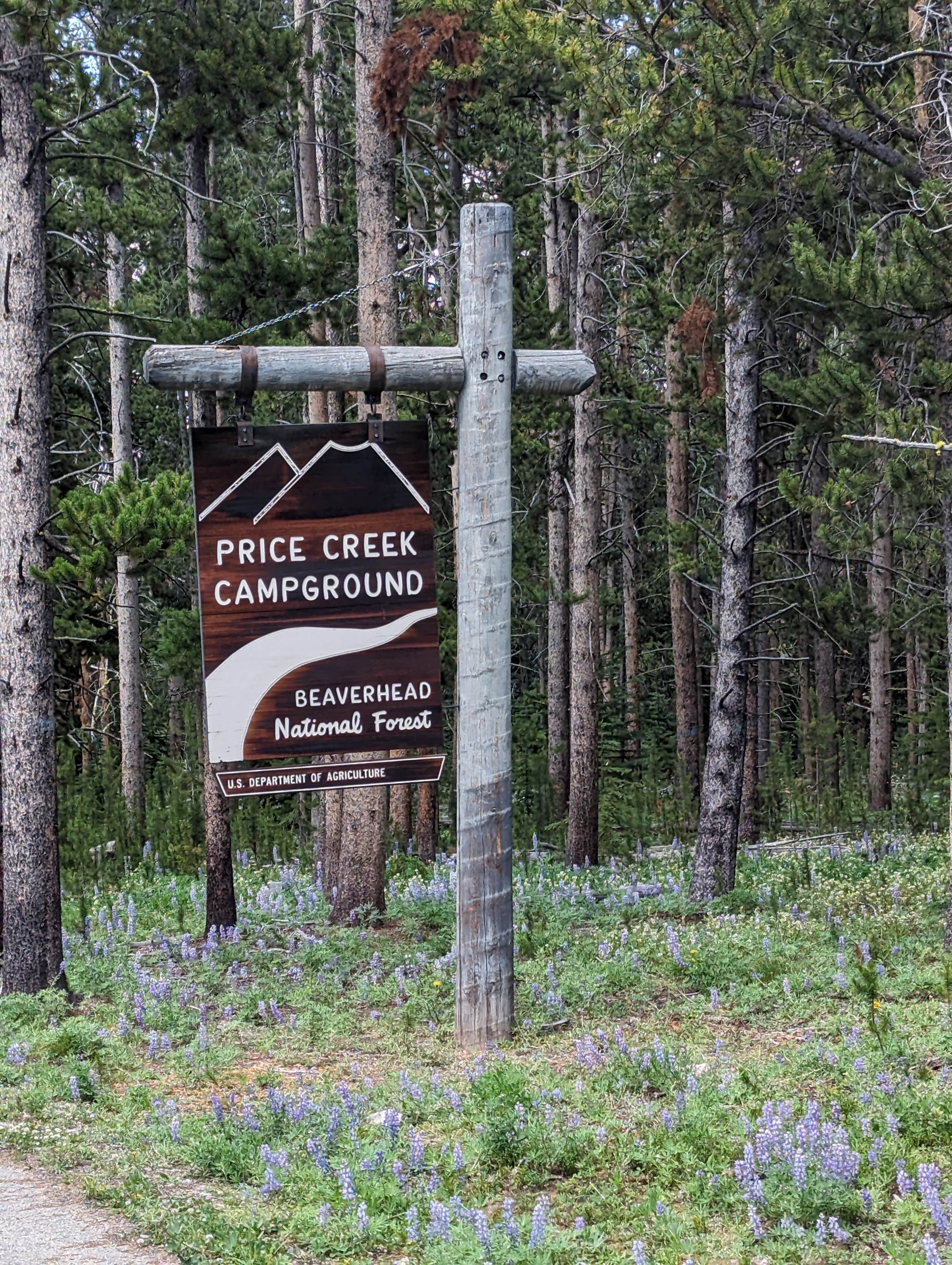 Camper-submitted photo at Beaverhead National Forest Price Creek Campground near Spencer, ID