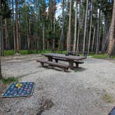 Review photo of Beaverhead National Forest Price Creek Campground by Kristi D., July 29, 2023