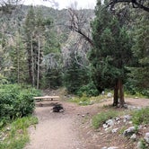 Review photo of Upper Lehman Creek Campground — Great Basin National Park by Meghan B., August 18, 2023