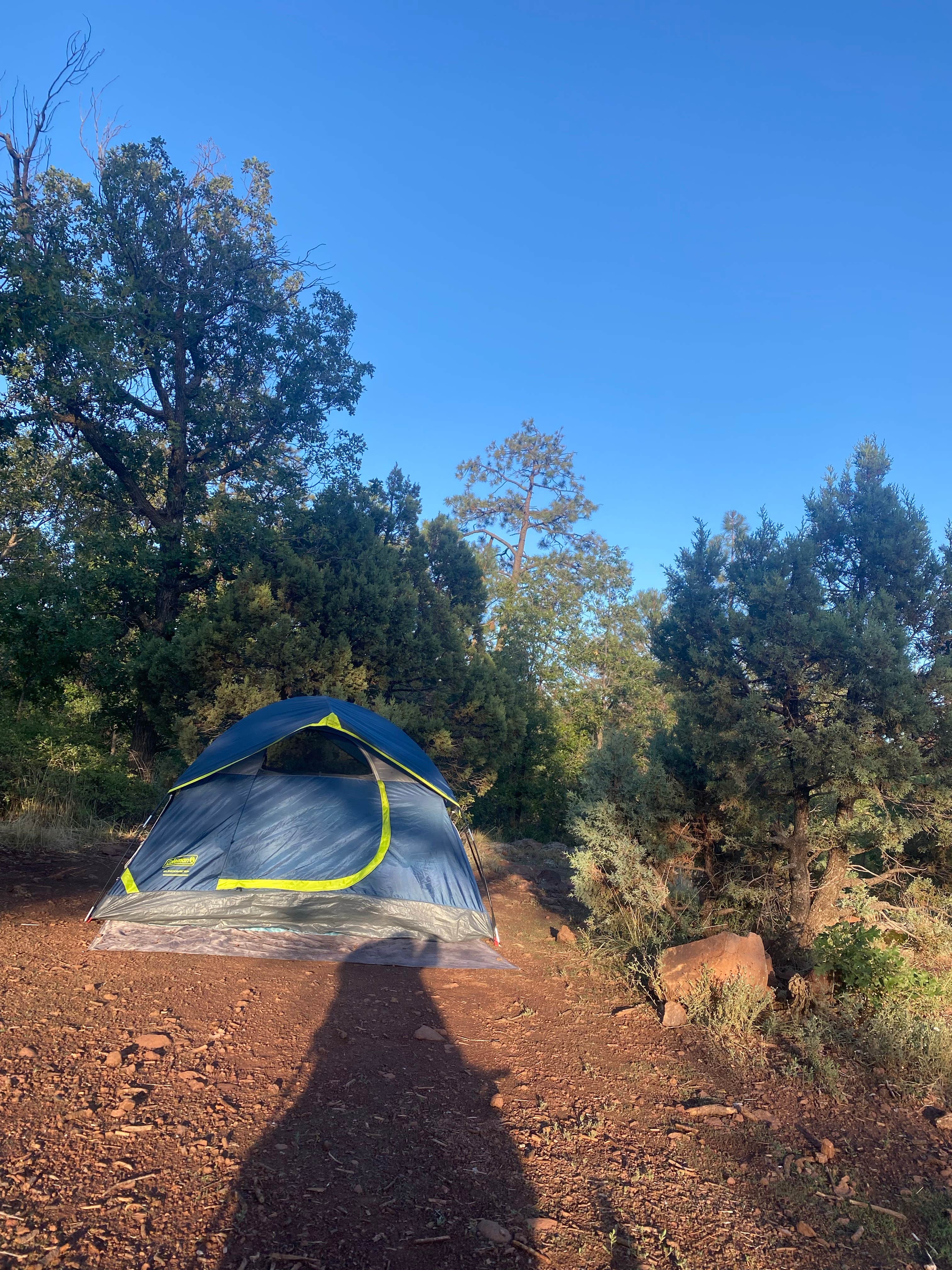 Camper submitted image from North Mingus Mountain Basecamp on Forest Road 413 - 1