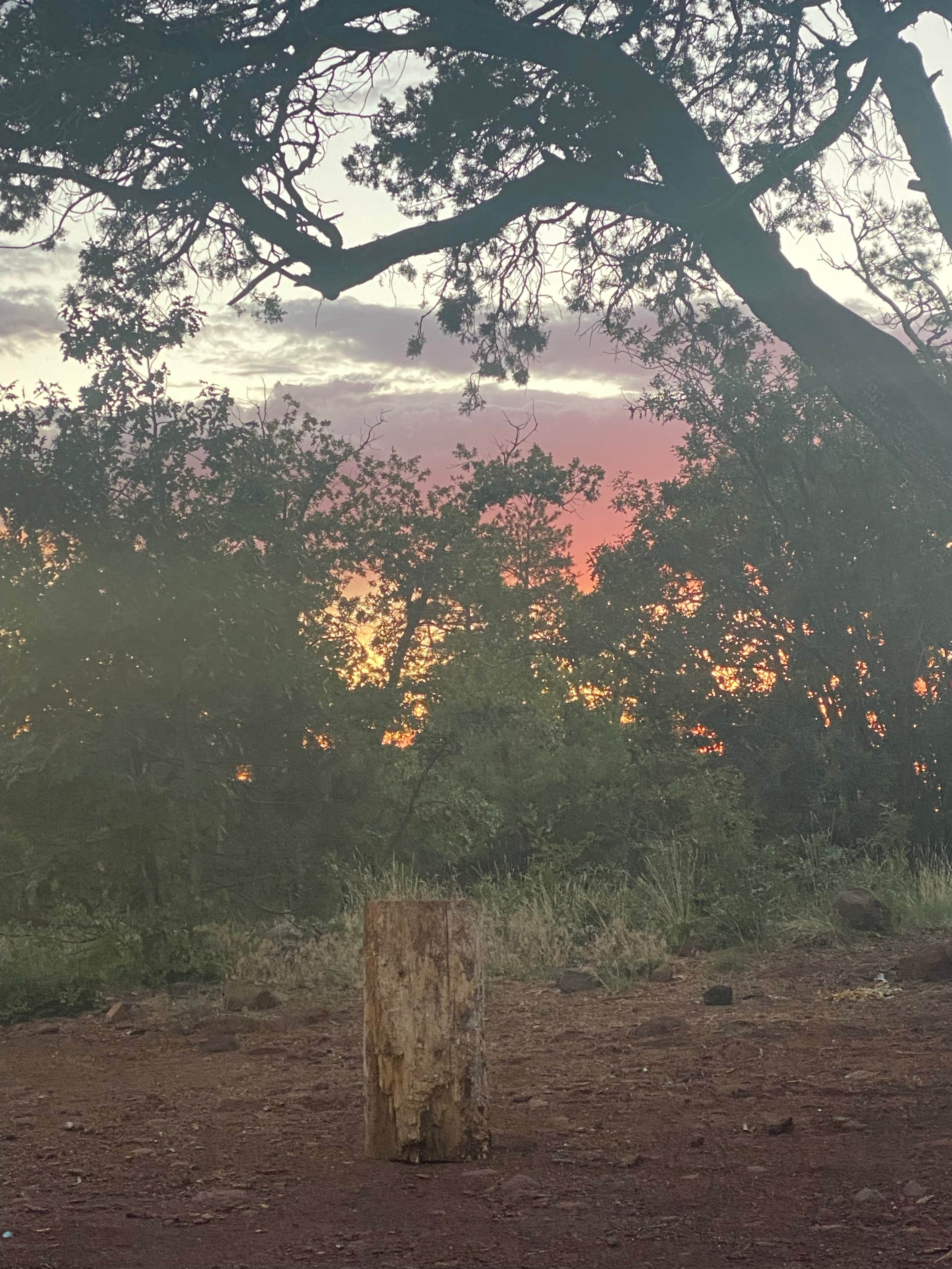 Camper-submitted photo at North Mingus Mountain Basecamp on Forest Road 413 near Prescott Valley, AZ