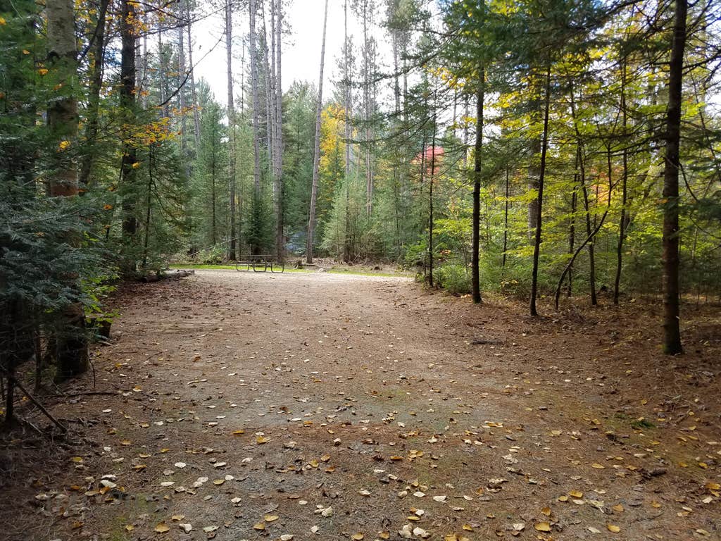 Jigger Johnson Campground Albany, NH
