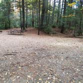 Review photo of Jigger Johnson Campground by Jean C., October 28, 2018