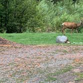 Review photo of Park At The River by Debra B., August 18, 2023