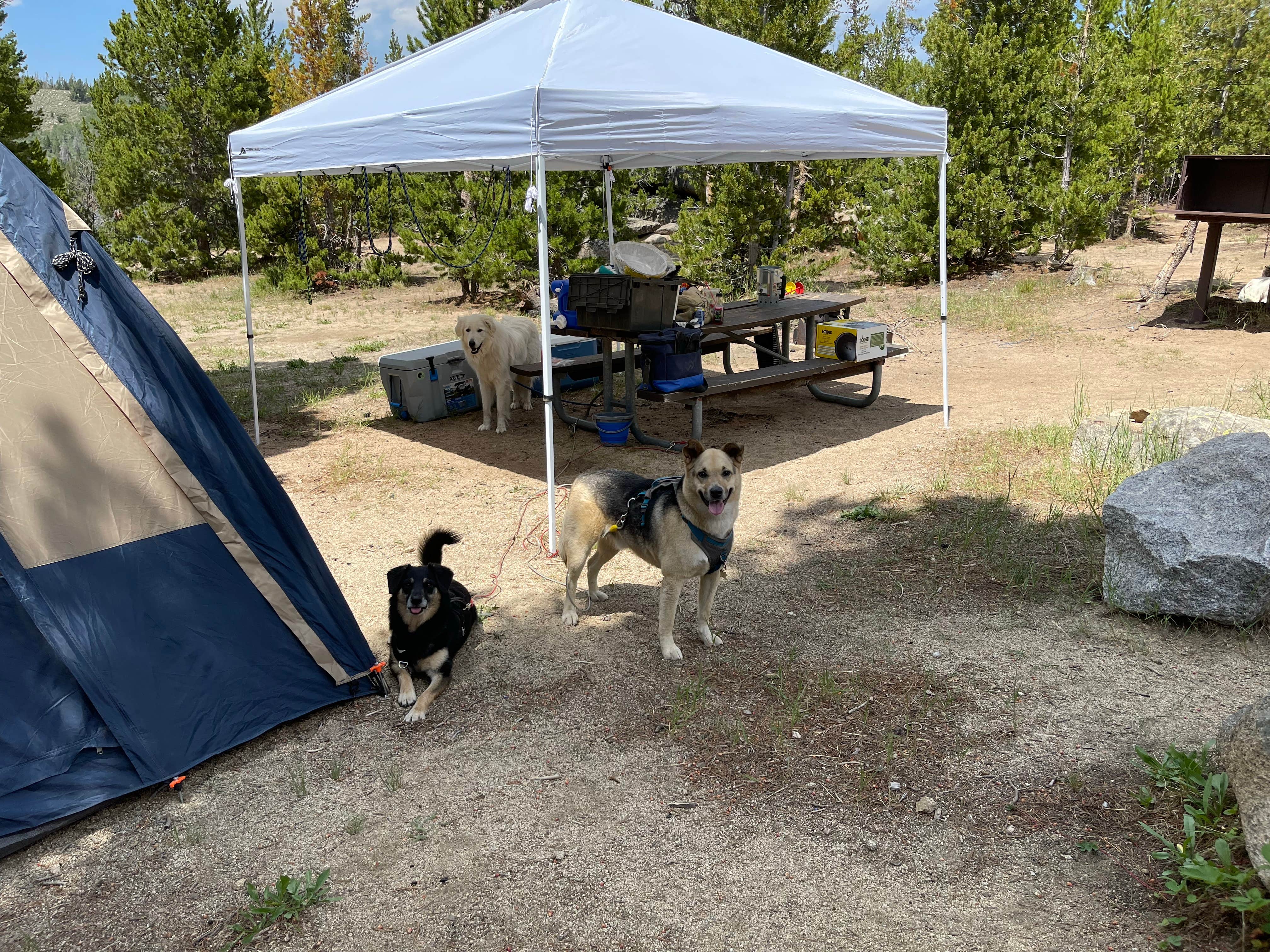Camper-submitted photo at Louis Lake Campground near Lander, WY
