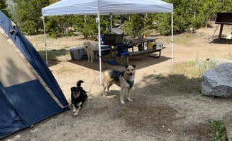 Jacinda C.'s photo of camping with pets at Louis Lake Campground near Farson, WY