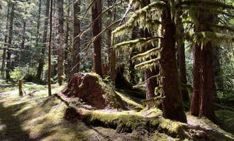 Camping near Cardlin Run — Olympic National Park: FS-2918 Dispersed Site, Joyce, Washington