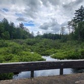 Review photo of Moose River Plains by Dave N., August 18, 2023