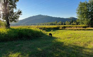 Andrew S.'s photo of camping with pets at Rose Lake near Coeur d'Alene, ID