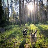 Review photo of Hams Fork Campground by Jacinda C., August 18, 2023