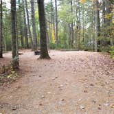 Review photo of Jigger Johnson Campground by Jean C., October 28, 2018