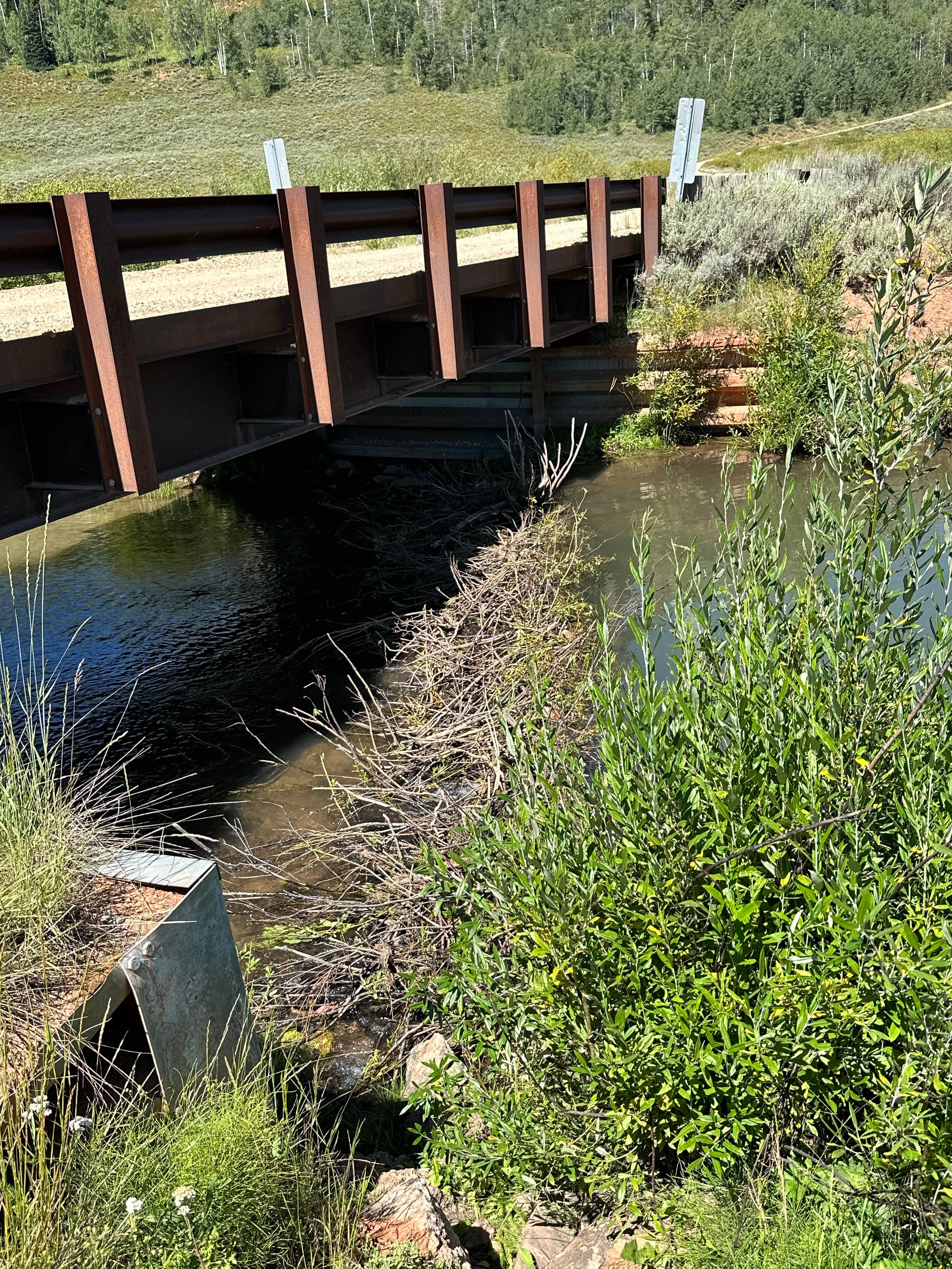 Camper-submitted photo at Hams Fork Campground near Cokeville, WY