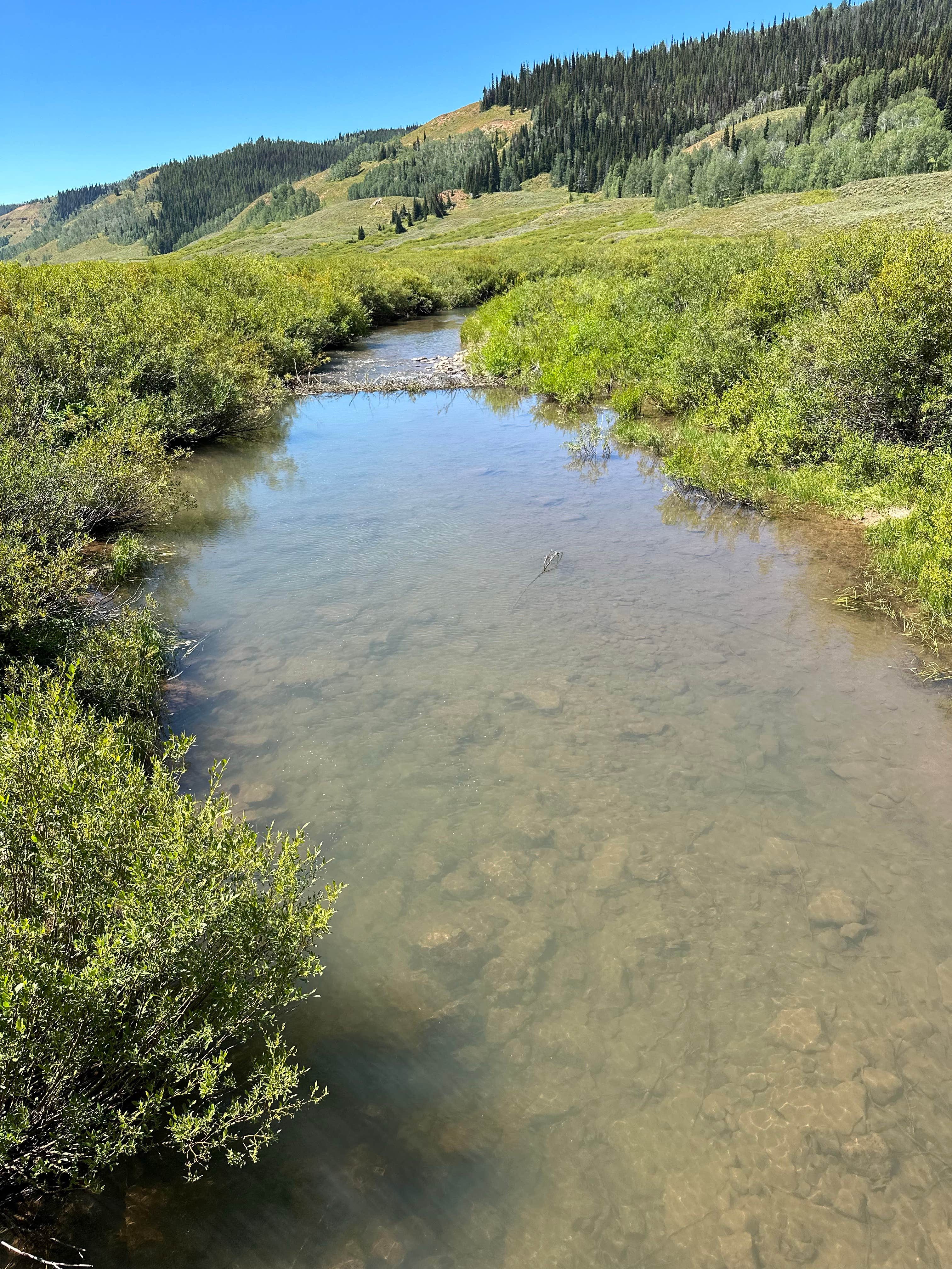 Camper-submitted photo at Hams Fork Campground near Cokeville, WY