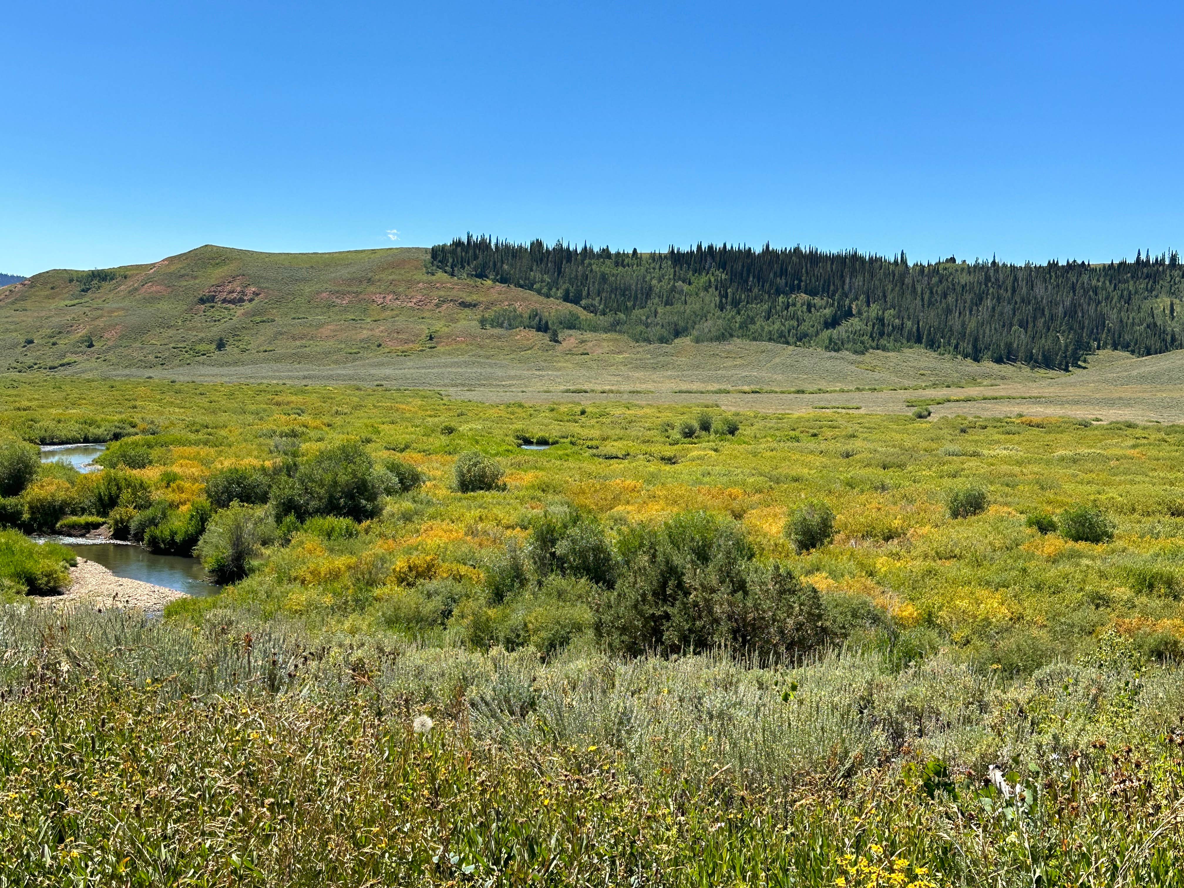 Camping near Hobble Creek: Hams Fork Campground, Cokeville, Wyoming