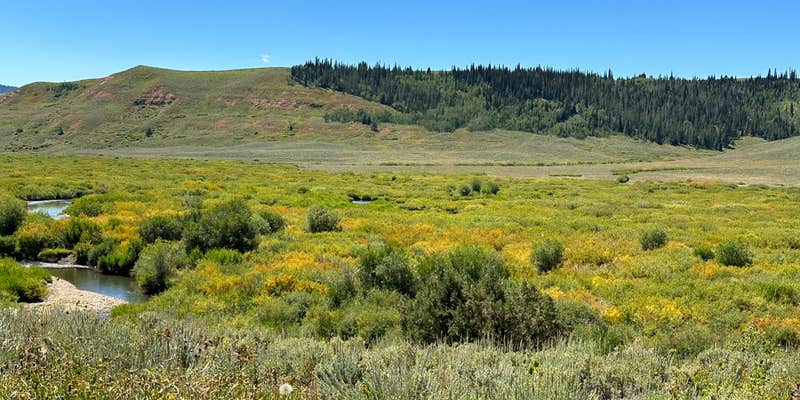 Camper submitted image from Hams Fork Campground