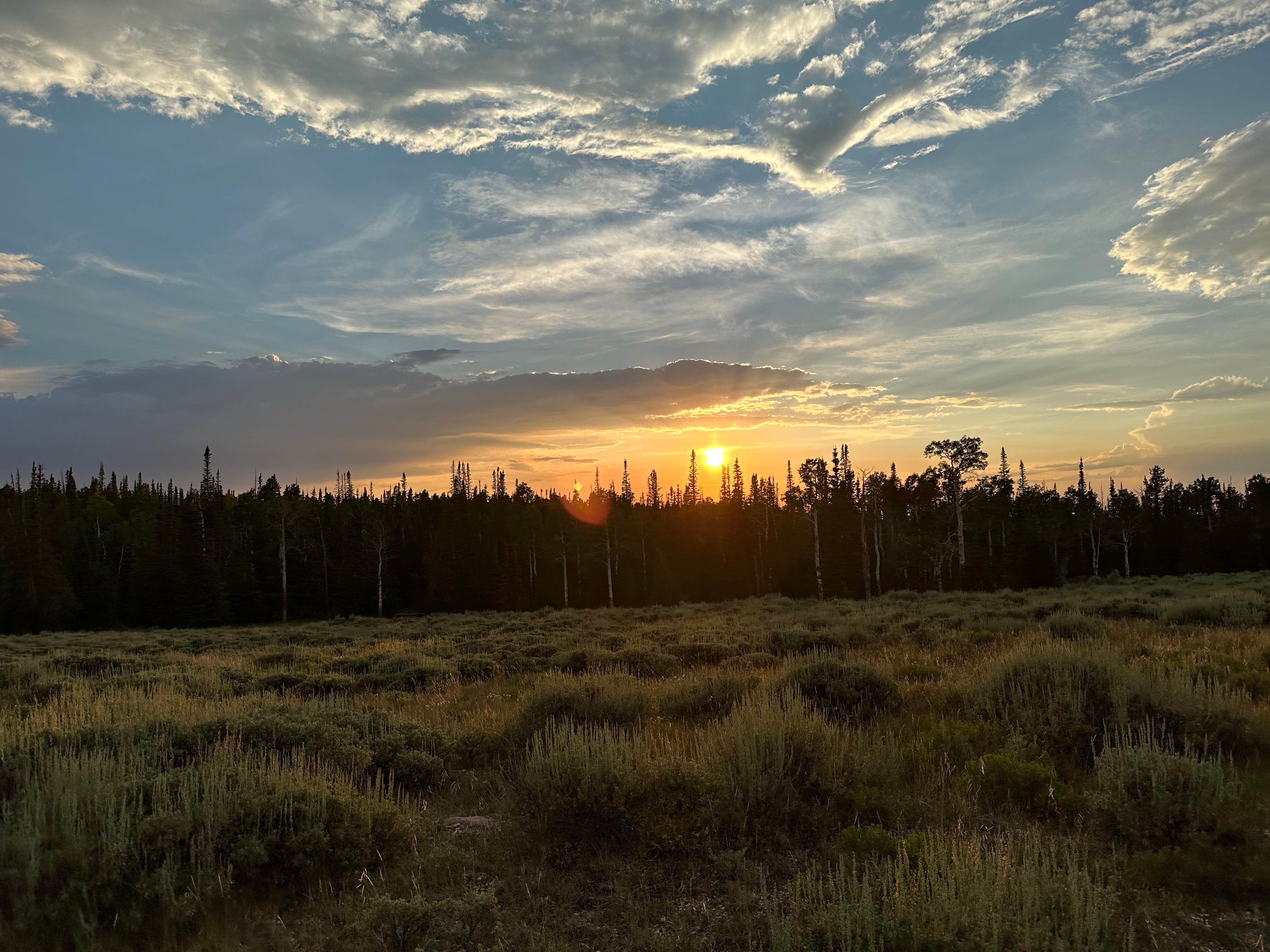 Camper-submitted photo at Little Mountain Dispersed Camp near Dutch John, UT