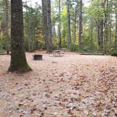 Review photo of Jigger Johnson Campground by Jean C., October 28, 2018