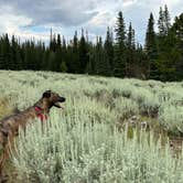 Review photo of Little Mountain Dispersed Camp by Jacinda C., August 18, 2023