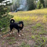 Review photo of Little Mountain Dispersed Camp by Jacinda C., August 18, 2023