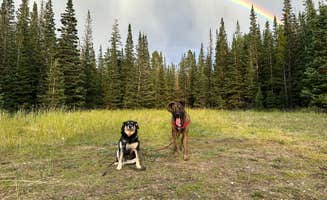 Jacinda C.'s photo of a dispersed camping area at Little Mountain Dispersed Camp near Ashley National Forest