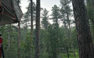 Ryan A.'s photo at Grizzly Creek Primitive near Keystone, SD