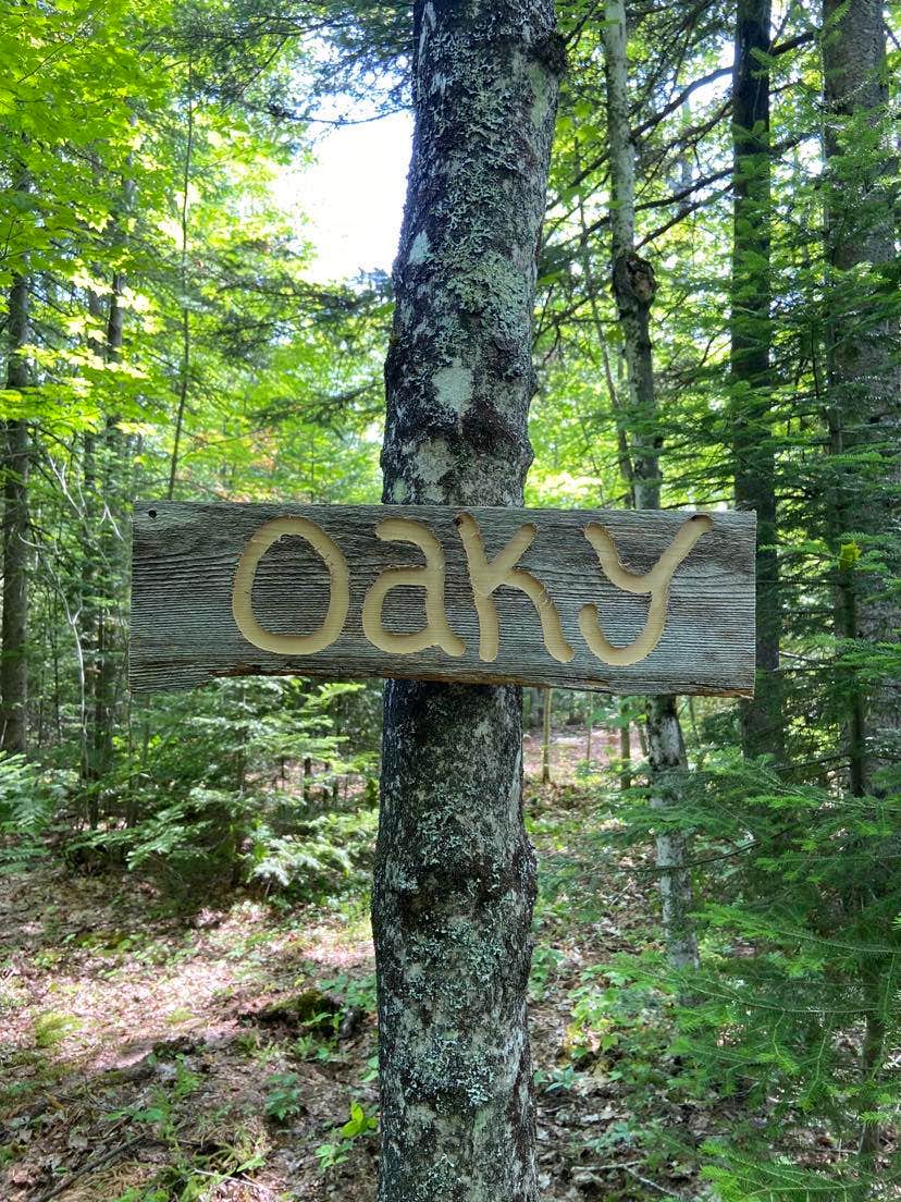 Camper-submitted photo at Wood Pecker Creek near Marquette, MI