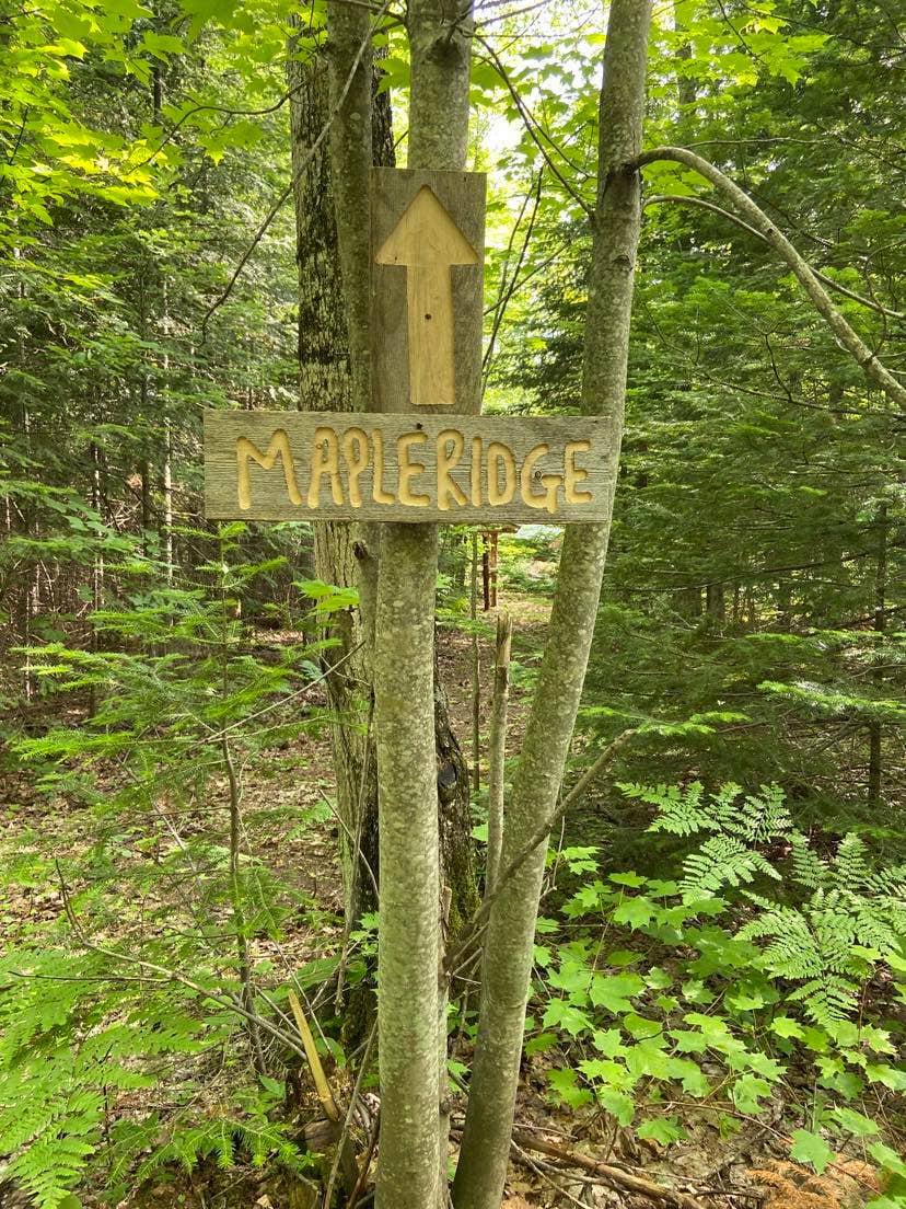 Camper-submitted photo at Wood Pecker Creek near Marquette, MI