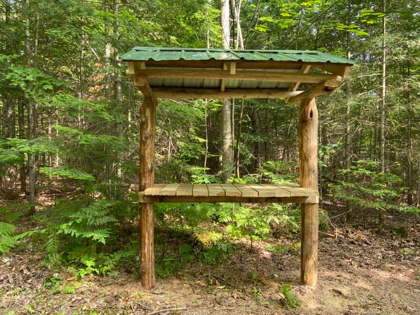 Camper-submitted photo at Wood Pecker Creek near Marquette, MI