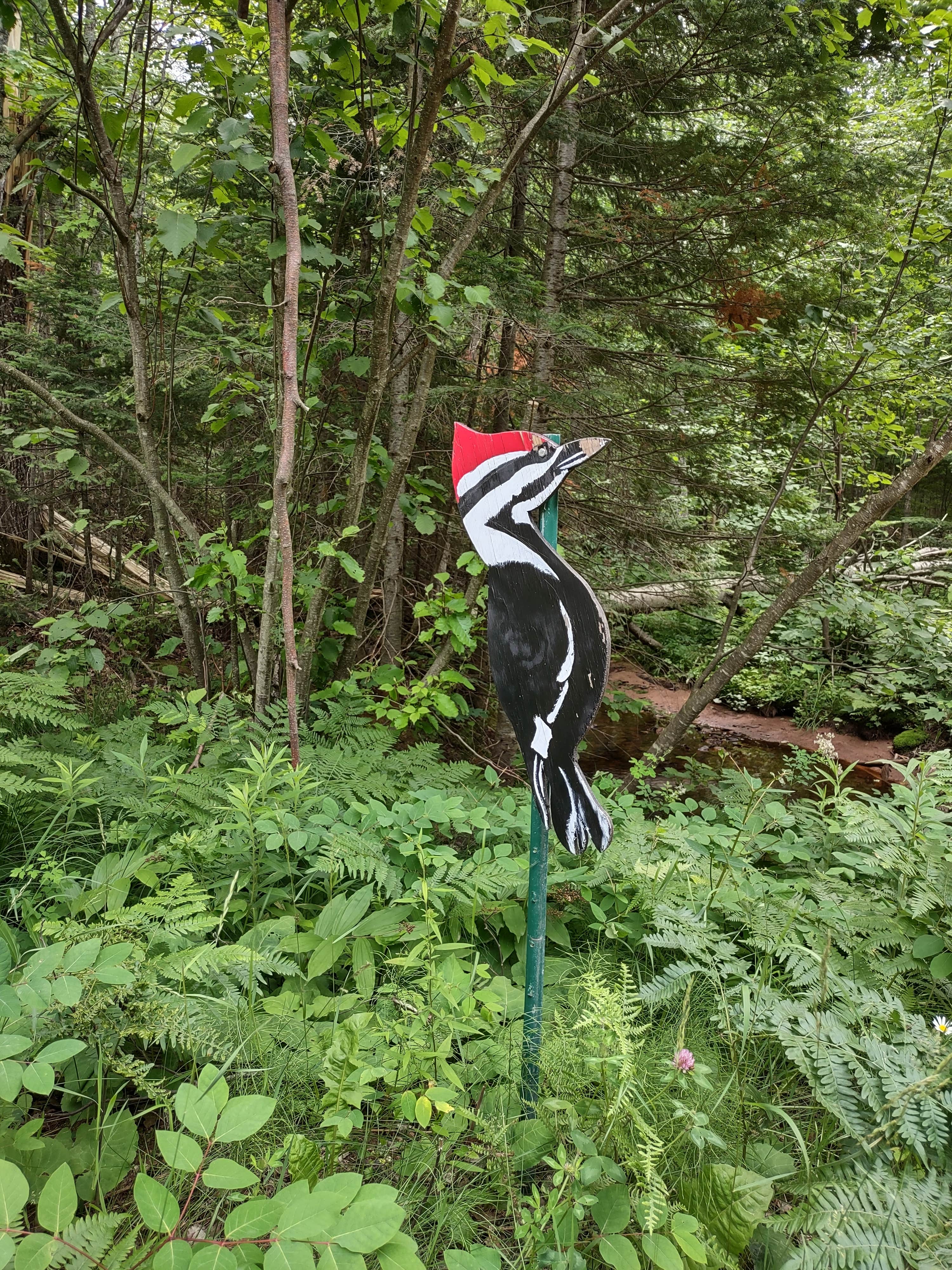 Camper-submitted photo at Wood Pecker Creek near Marquette, MI