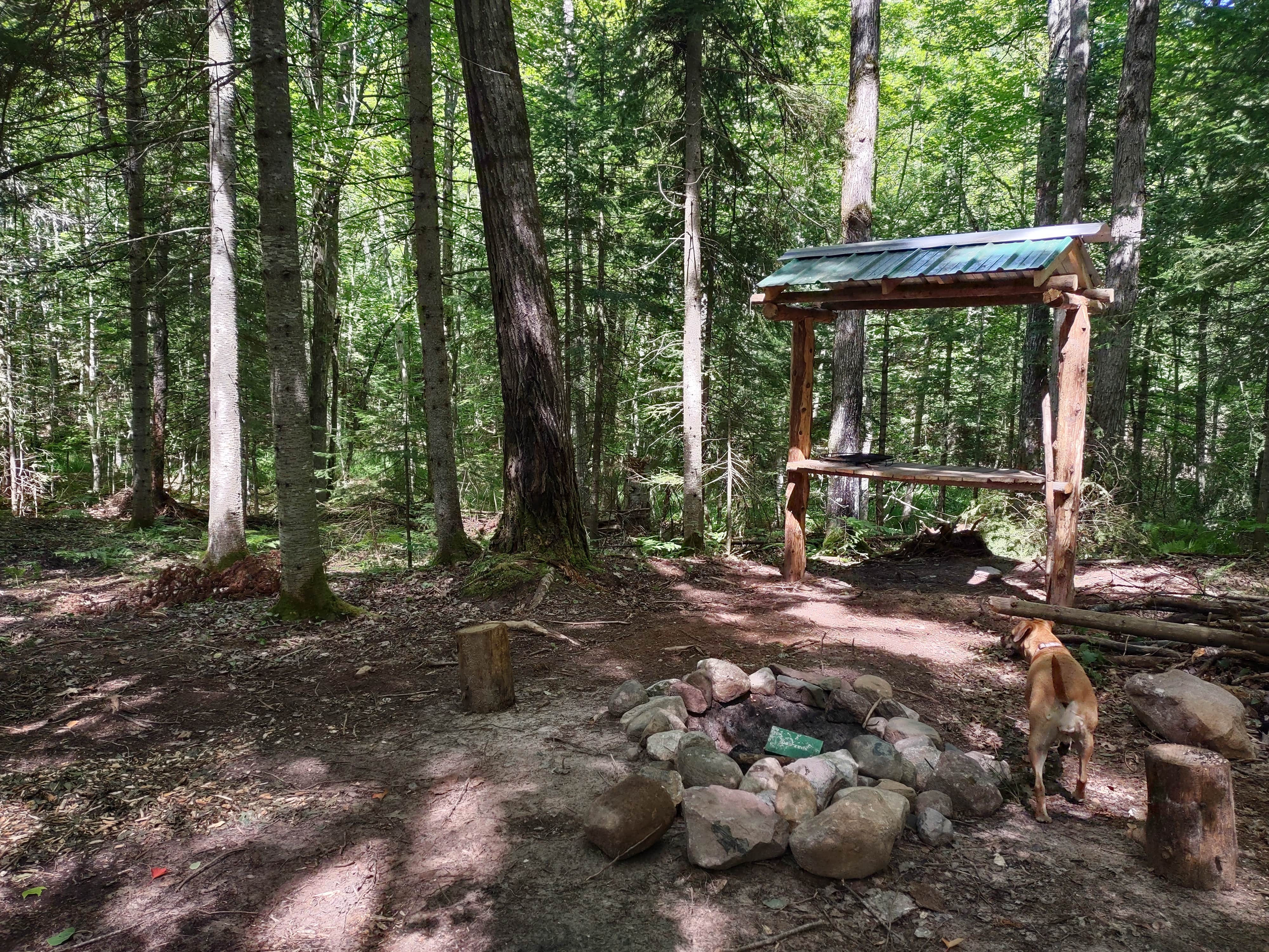 Melissa T.'s photo of camping with pets at Wood Pecker Creek near Keweenaw Bay, MI