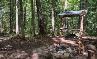 Melissa T.'s photo of camping with pets at Wood Pecker Creek in Michigan